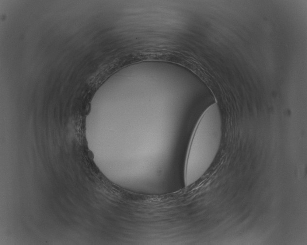 X0000074260867200608250857