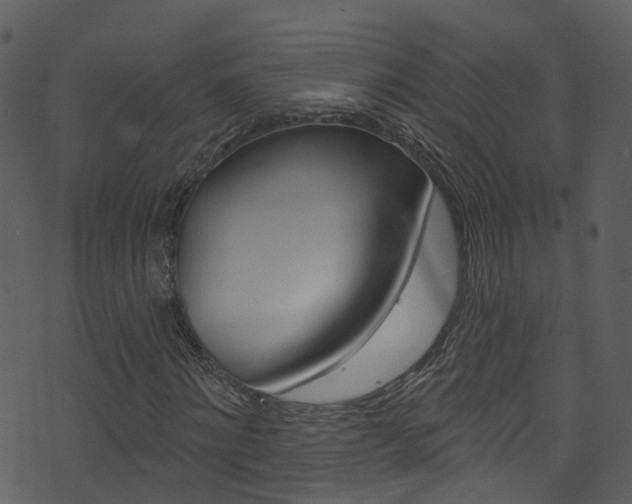 X0000074260868200608250857