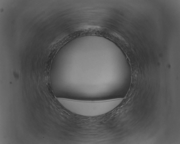 X0000074260869200608250857