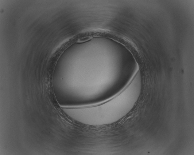 X0000074260872200608250857