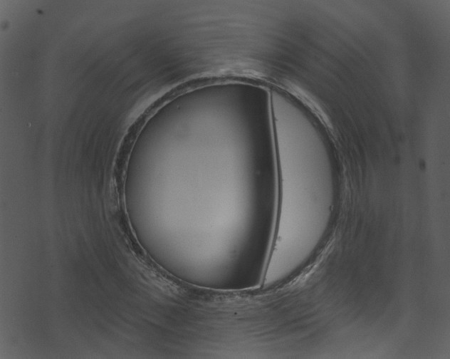 X0000074260876200608250857
