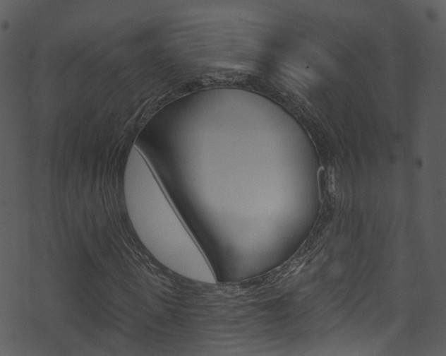 X0000074260915200608250856