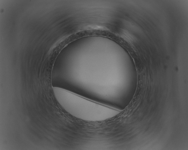 X0000074260919200608250856