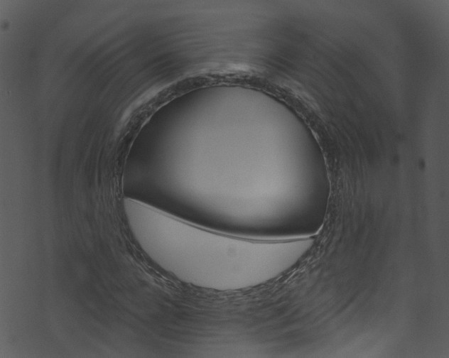 X0000074260920200608250856
