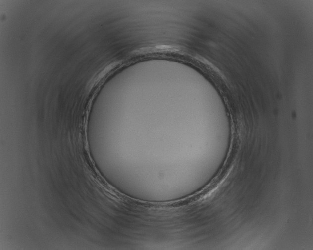 X0000074260921200608250856