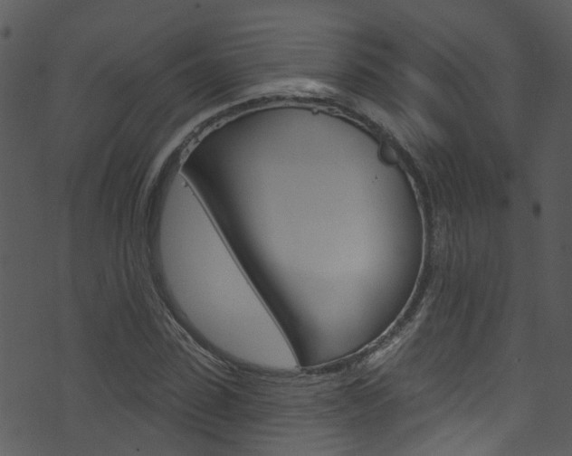 X0000074260923200608250856
