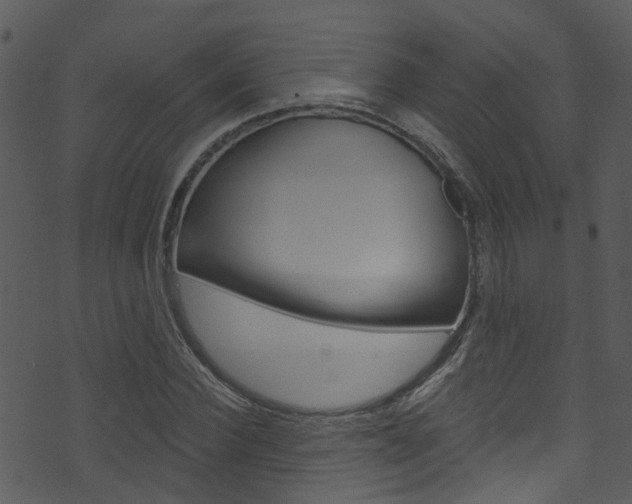 X0000074260924200608250856