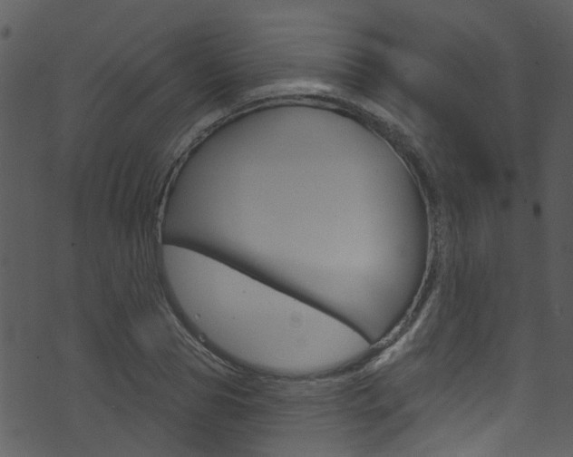 X0000074260929200608250856