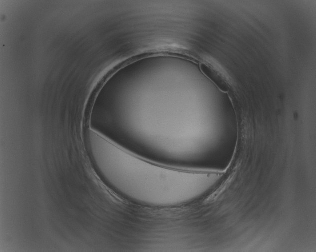 X0000074260932200608250856
