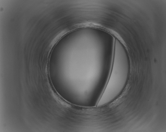 X0000074260946200608250856