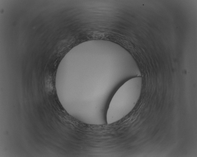 X0000074260962200608250856