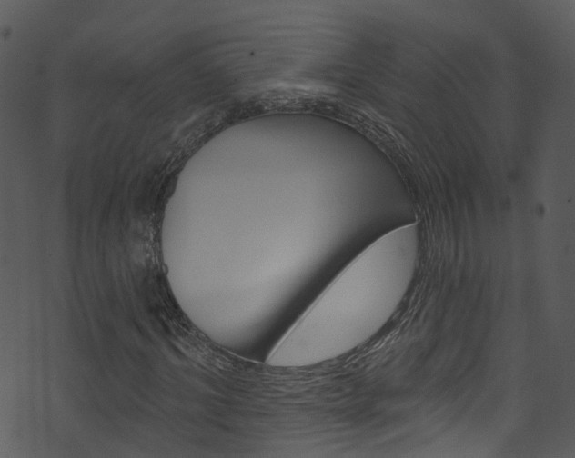 X0000074260964200608250856