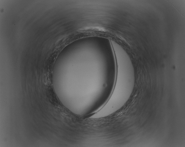 X0000074260965200608250856