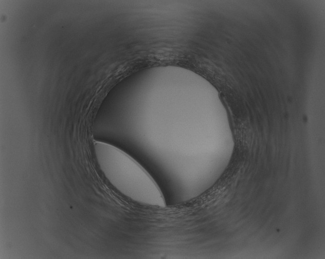 X0000074261009200608250854