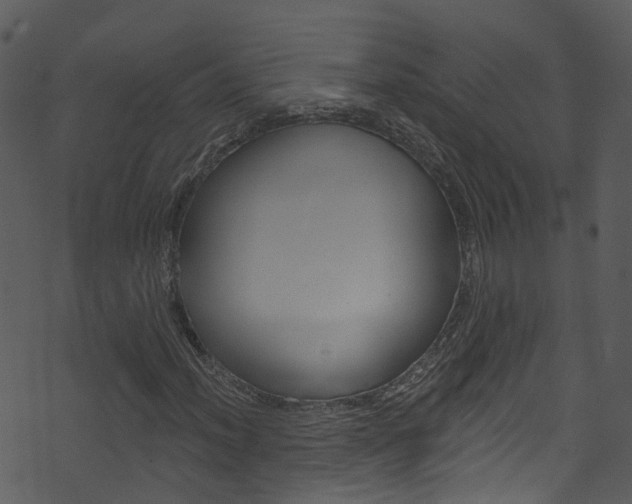 X0000074261012200608250854