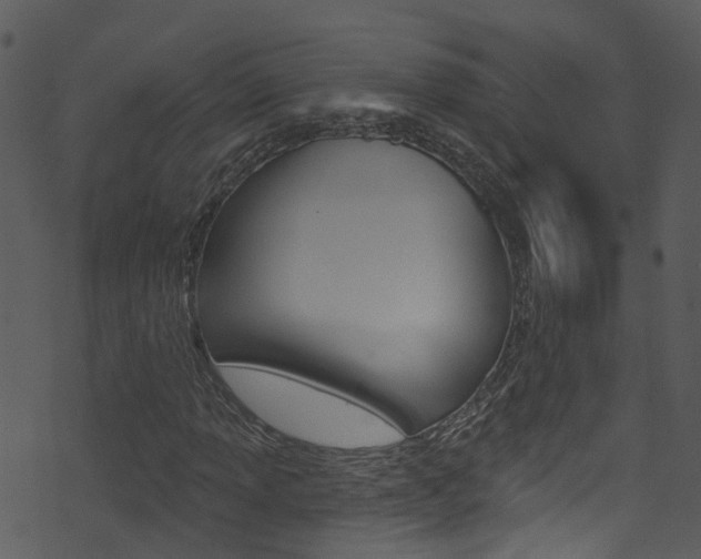X0000074261013200608250854