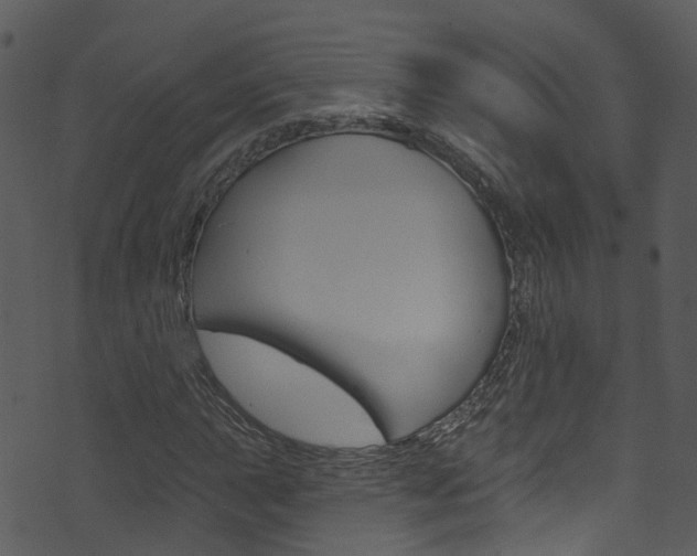 X0000074261015200608250854