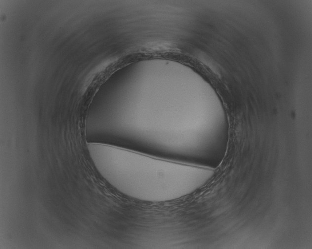 X0000074261016200608250854