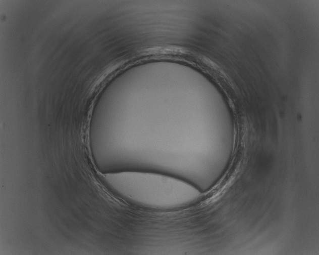 X0000074261017200608250854
