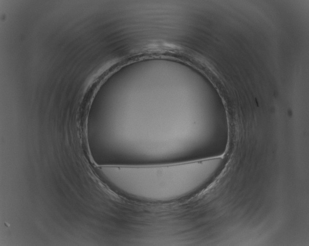 X0000074261018200608250854