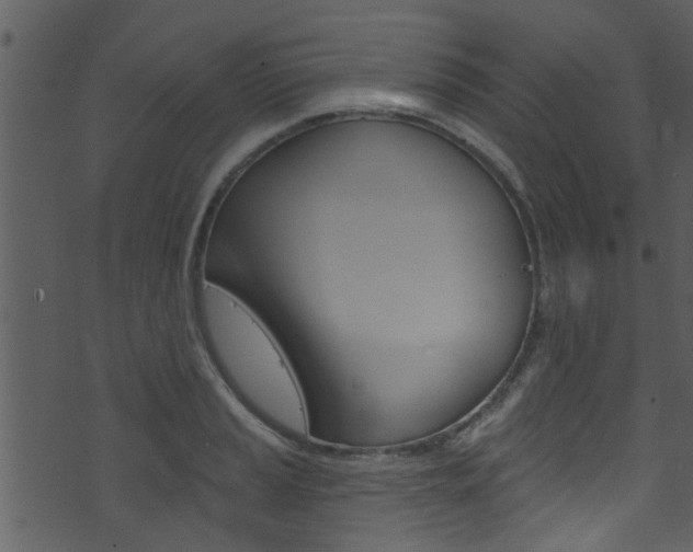 X0000074261037200608250855