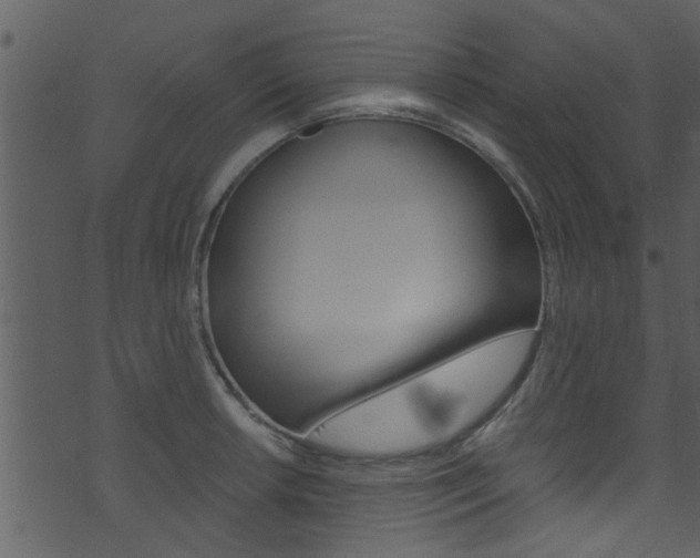 X0000074261042200608250855