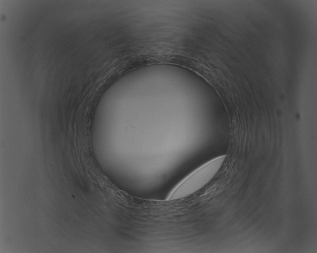 X0000074261057200608250854