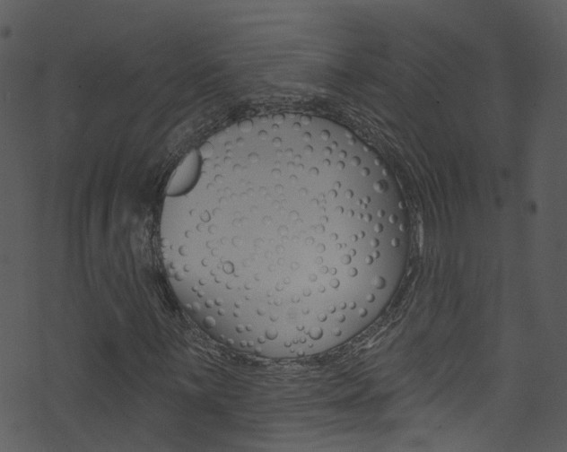 X0000074261059200608250854