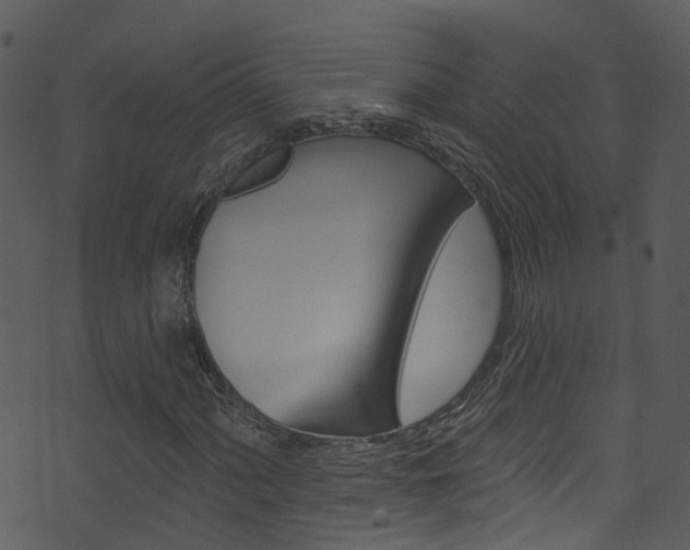 X0000074261060200608250854