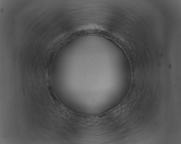 X0000074261062200608250854