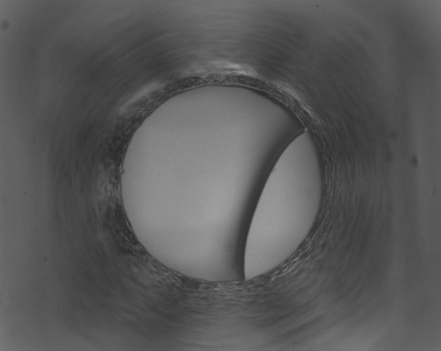 X0000074261063200608250854
