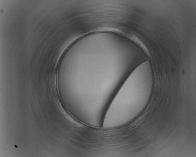 X0000074261092200608250854