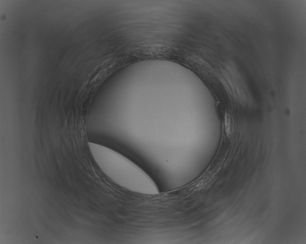 X0000074261107200608250853