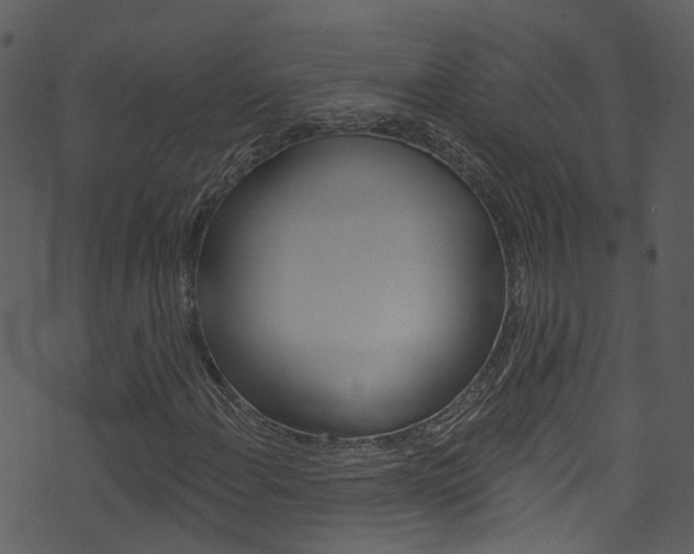 X0000074261108200608250853