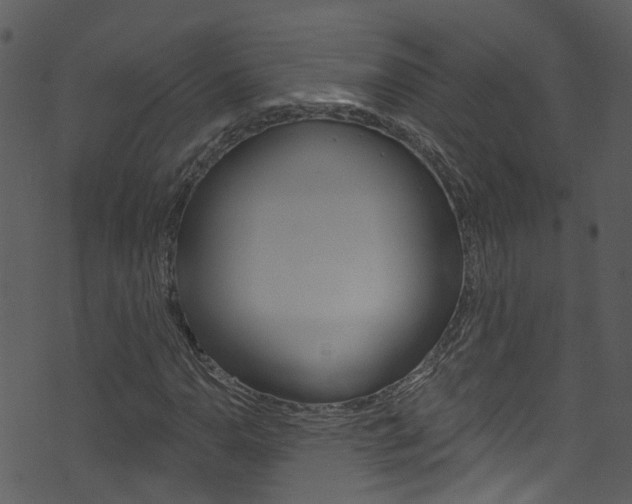 X0000074261110200608250853