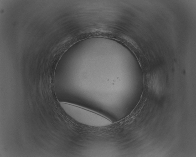 X0000074261111200608250853