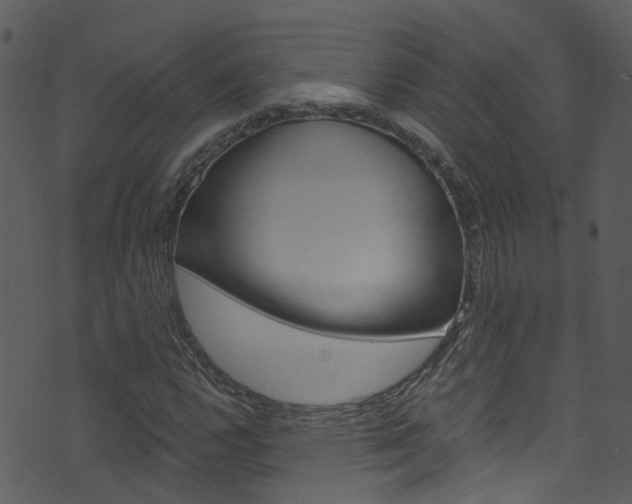 X0000074261112200608250853