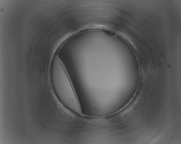 X0000074261133200608250853
