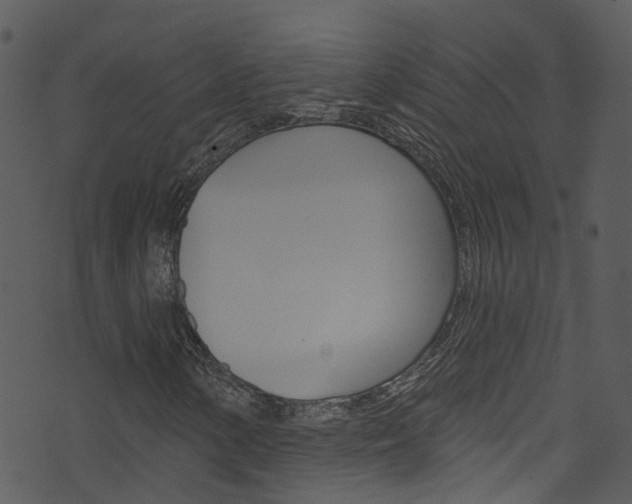 X0000074261154200608250853