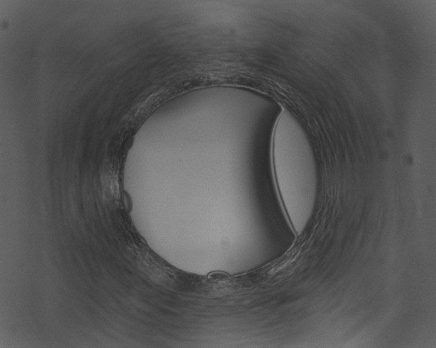 X0000074261155200608250853