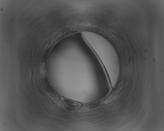 X0000074261156200608250853
