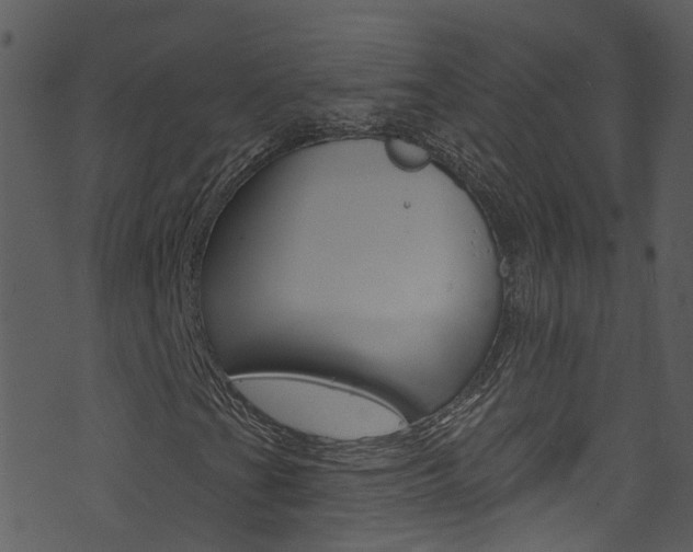X0000074261201200608250851