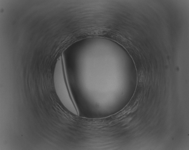 X0000074261202200608250851