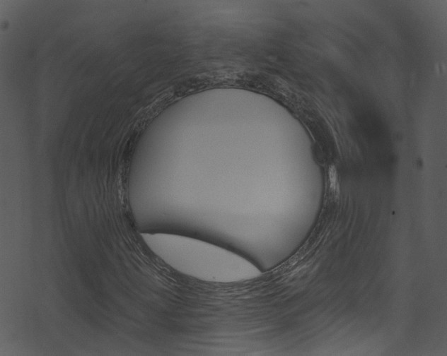 X0000074261203200608250851