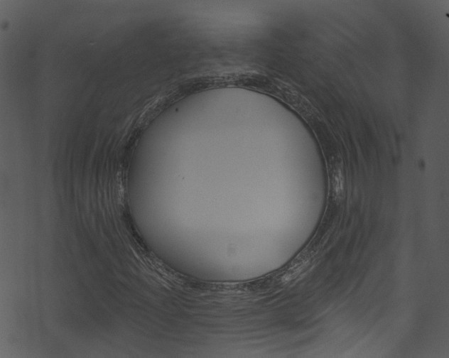 X0000074261204200608250851