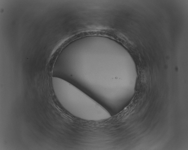 X0000074261208200608250851