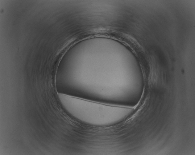 X0000074261209200608250851