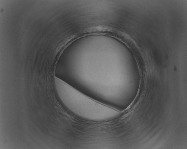X0000074261217200608250851