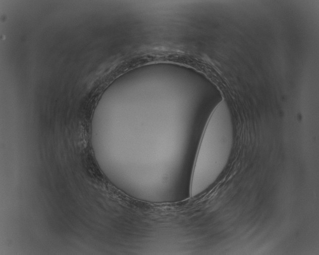 X0000074261253200608250851