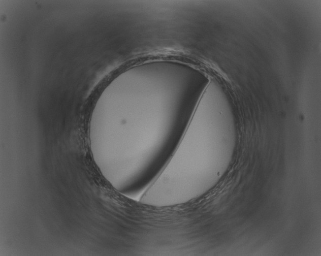 X0000074261256200608250851